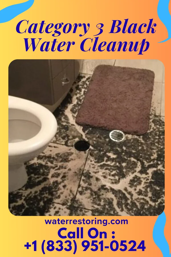 Category 3 Black Water Cleanup in Harbine, NE