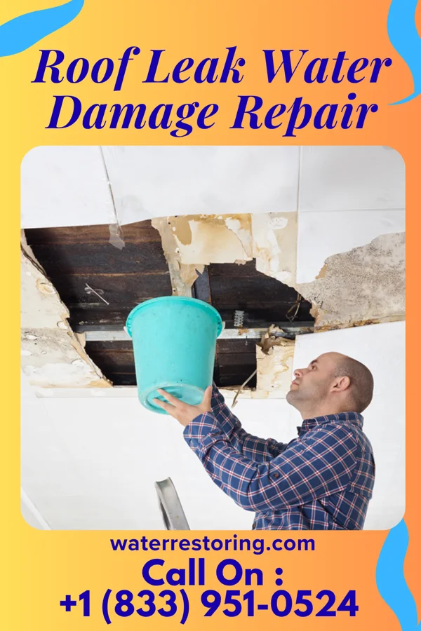 Roof Leak Water Damage Repair in Harbine, NE